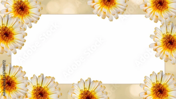 Fototapeta Beautiful marigold flower on yellow blurred background. Festive flowers concept. Floral card with flowers, copy space