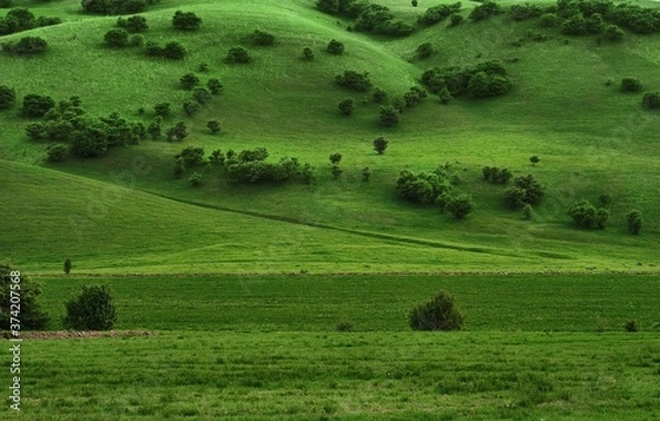 Fototapeta top view of picturesque green hills with trees