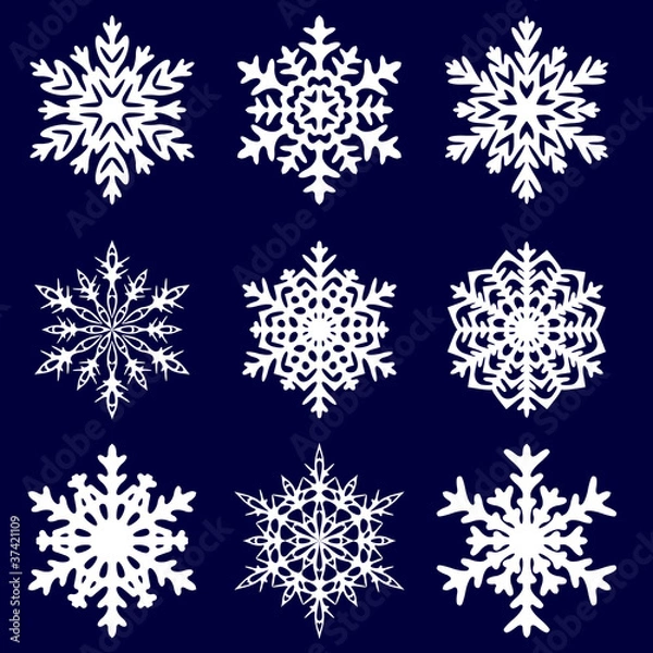 Obraz Decorative snowflake. Vector illustration.