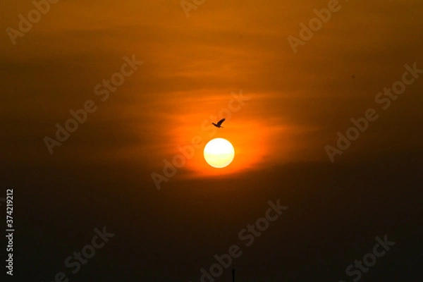 Obraz sunset in the sky