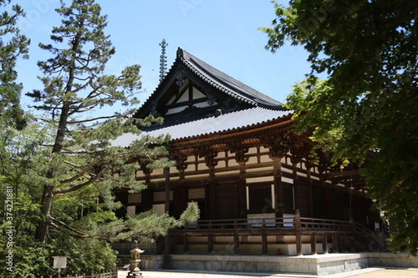 Fototapeta 高野山