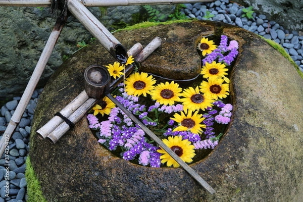 Fototapeta 正寿院　猪目窓