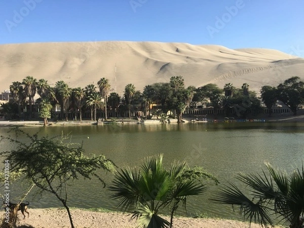 Obraz oasis in egypt