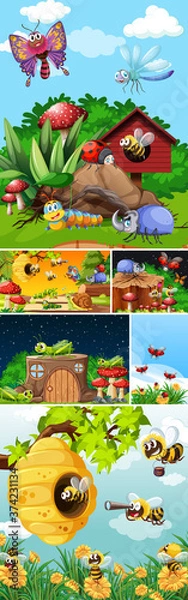 Fototapeta Set of different insects living in the garden background