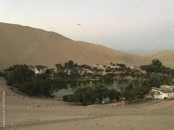 Obraz view on the beach