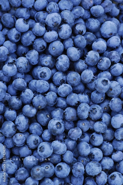 Fototapeta Blueberry background