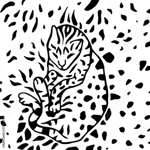 Fototapeta The cat pattern.Sleeping Bengal cat surrounded by leopard spots.
