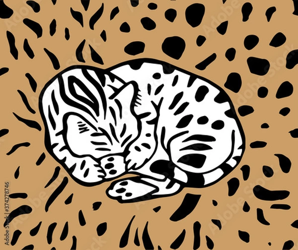Fototapeta The cat pattern.Sleeping Bengal cat surrounded by leopard spots.
