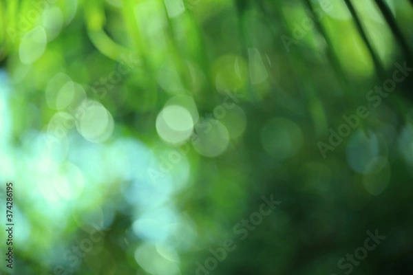 Fototapeta abstract background with bokeh