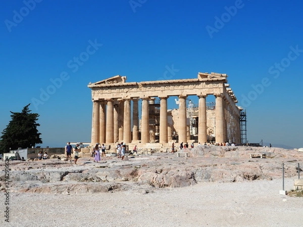 Fototapeta OLYMPUS DIGITAL CAMERA