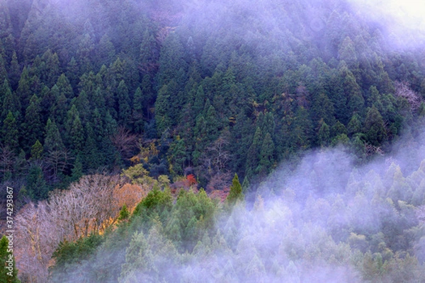 Fototapeta 秋風景