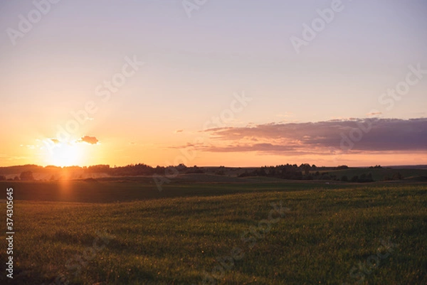 Fototapeta sunset over the field