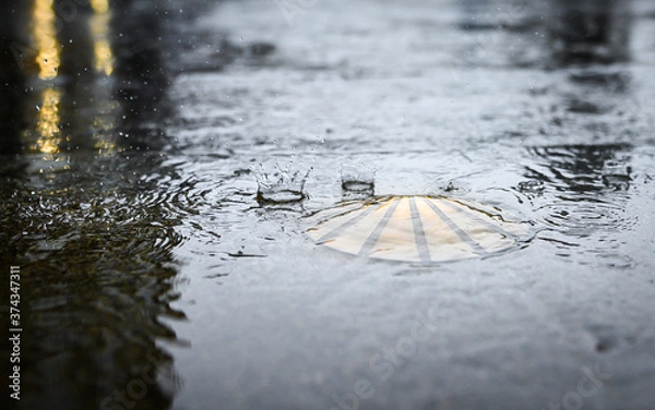 Fototapeta Scallop made of bronze as a waymark in the old town of Santiago de Compostela on wet ground when it rains.