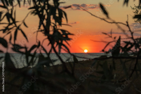 Obraz sunset on the beach