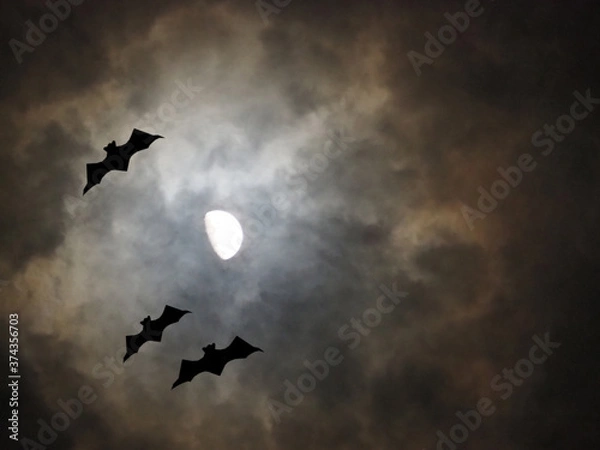Obraz ハロウィンの夜　月光に照らされるコウモリのシルエット