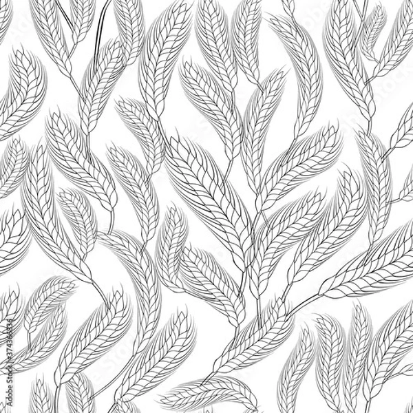 Fototapeta monochrome seamless background with wheat. black ears of wheat on a white background. background for wrapping paper and wallpaper