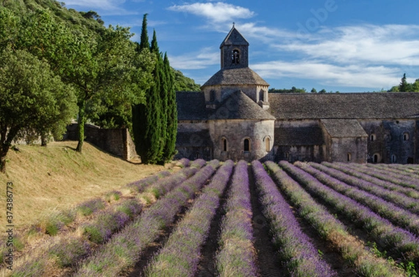 Obraz Abbaye Notre-Dame de Sénanque with lavender