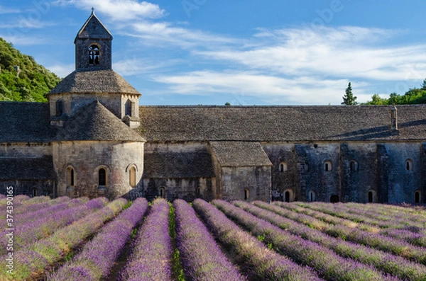Fototapeta Abbaye Notre-Dame de Sénanque with lavender field