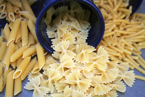 Obraz farfalle & co.