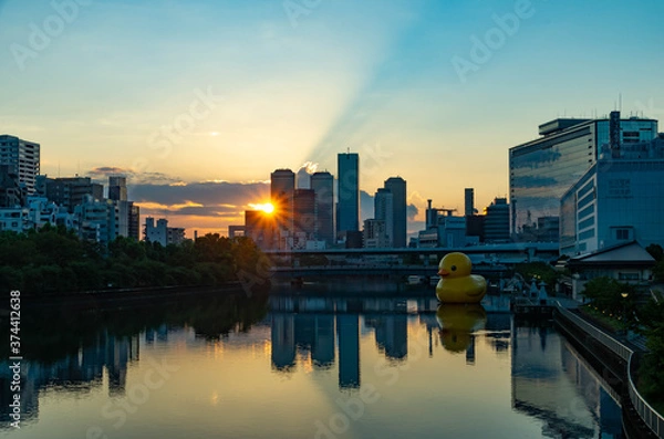 Fototapeta 朝日陰影