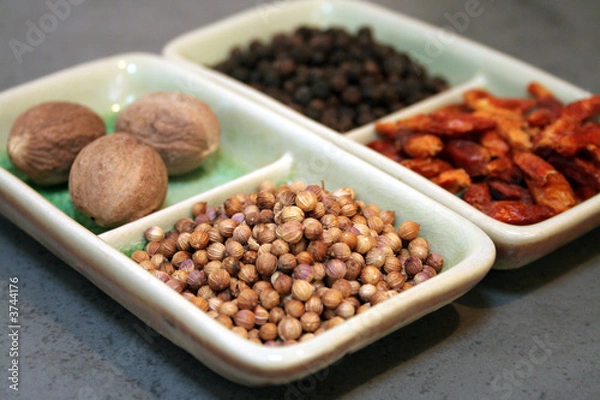 Obraz coriandre et épices