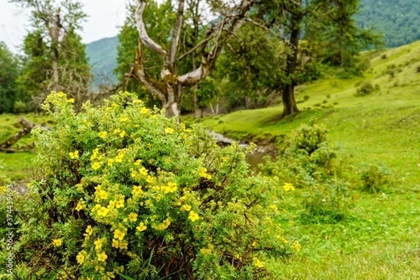 Fototapeta Processed with VSCO with  preset