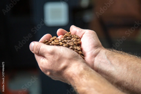 Obraz roasted coffee beans, can be used as a background