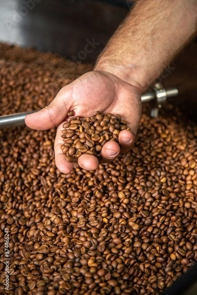 Obraz roasted coffee beans, can be used as a background