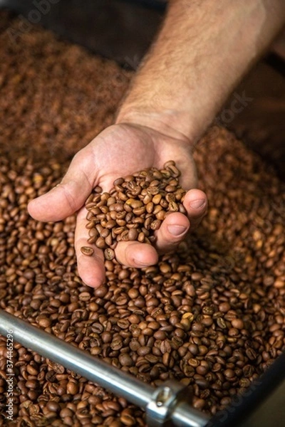 Obraz roasted coffee beans, can be used as a background