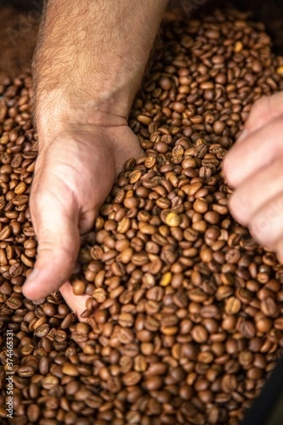 Obraz roasted coffee beans, can be used as a background