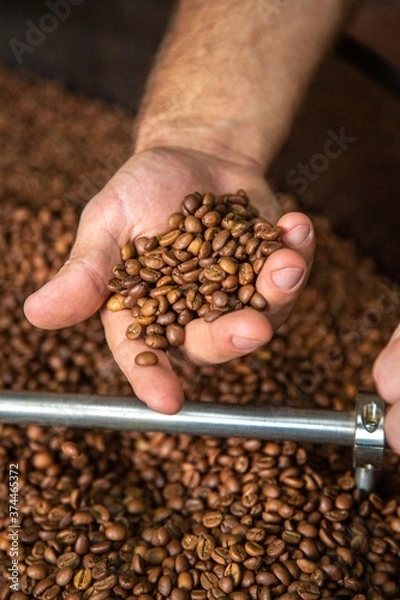Obraz roasted coffee beans, can be used as a background