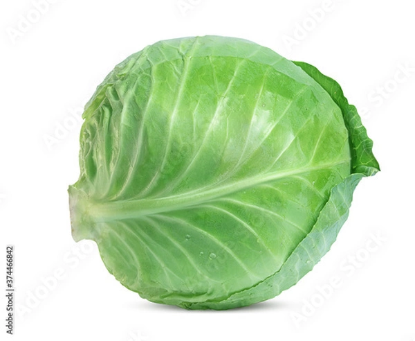 Obraz large fresh white cabbage on a white background