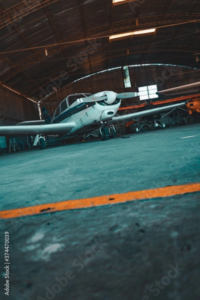 Obraz RETRATO AVIÓN 