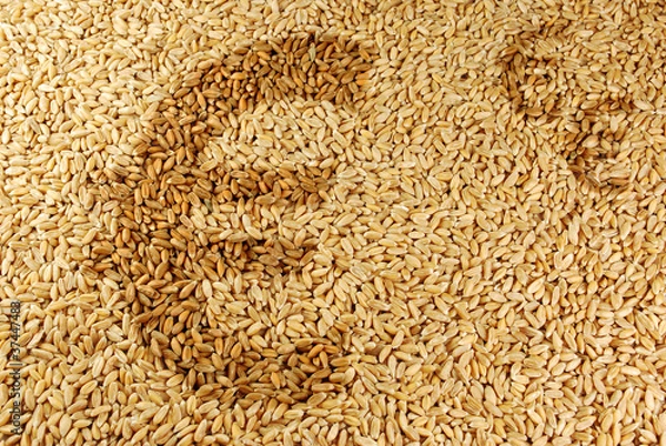 Obraz Markt für Agrarrohstoffe - Euro-Zeichen auf Weizen