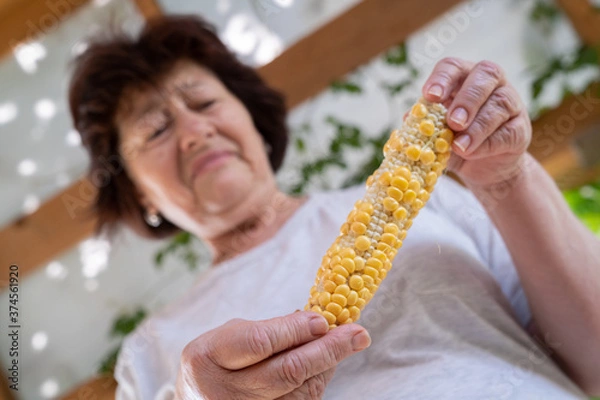 Fototapeta Senior woman in white t-shirt is holding in her hands a corn and looking at the corn with distaste. She holds in her hand bad quality corn without some grains. Poor harvest. Ecology problems