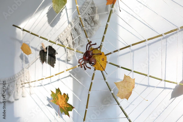 Fototapeta autumn craft made of natural material spider on a web surrounded by leaves