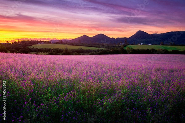 Obraz Sunset in the Mountains