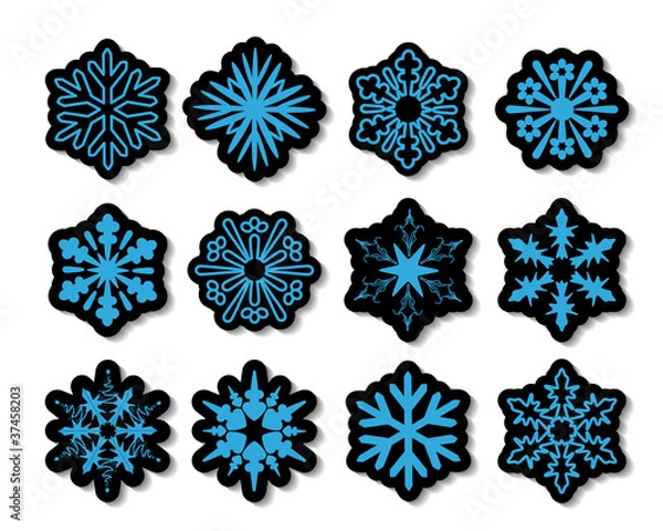 Obraz Vector snowflakes