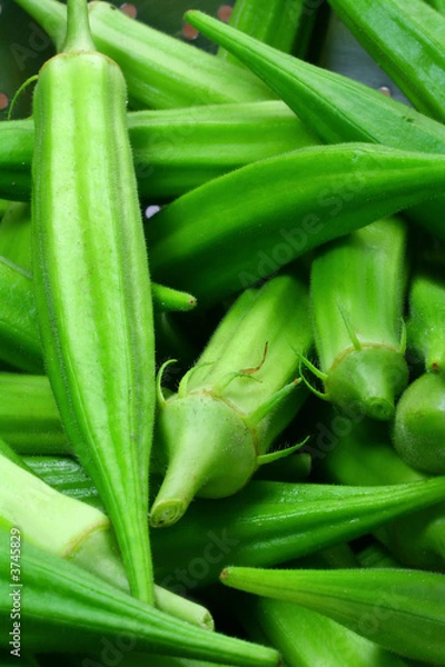 Obraz Summer Okra (Vertical)