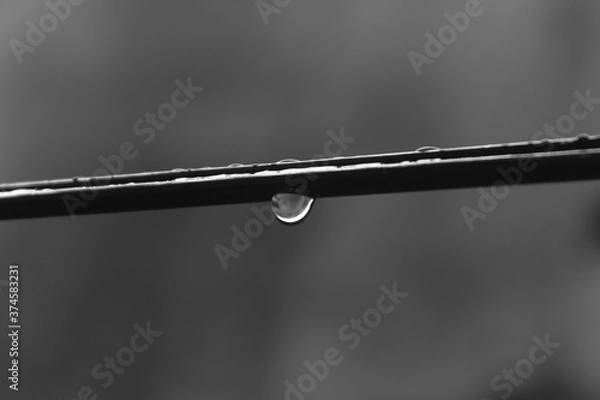 Obraz gotas de chuva no varal.