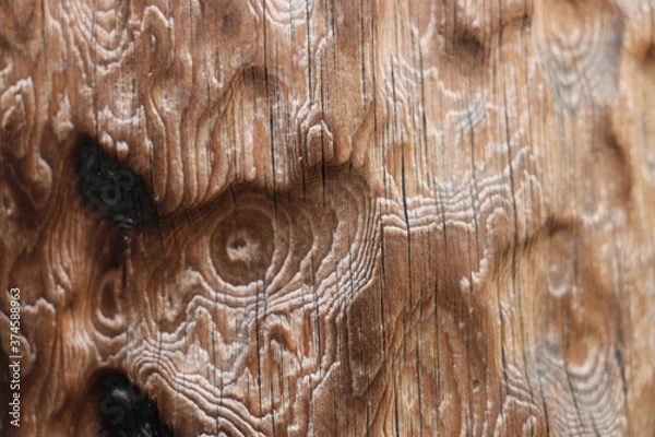 Fototapeta wood texture background