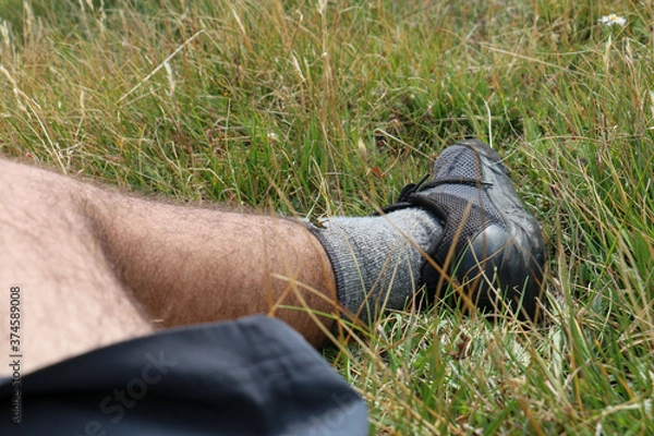 Fototapeta Grasshopper on leg