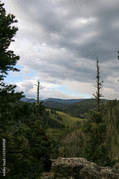 Fototapeta clouds over the forest