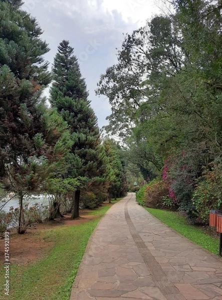Obraz footpath in the park