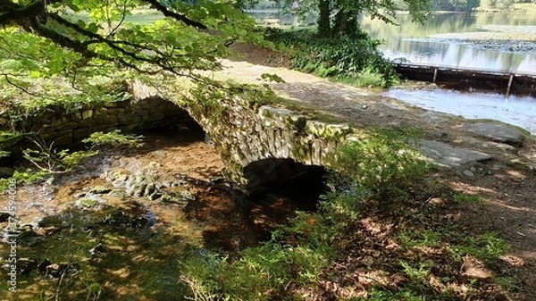 Obraz Bridge over the river