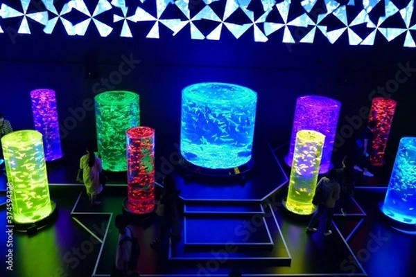 Obraz 日本の綺麗なアートアクアリウム