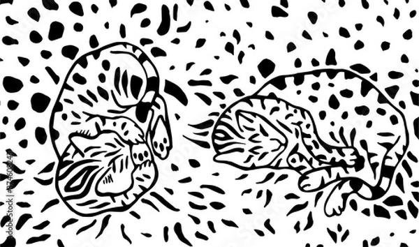 Fototapeta The cat pattern.Sleeping Bengal cat surrounded by leopard spots.