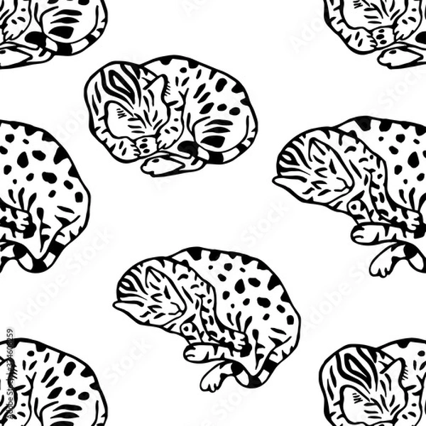 Fototapeta The cat pattern.Sleeping Bengal cat surrounded by leopard spots.