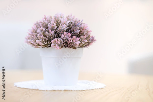 Obraz Flowers in white pots on the table in a white room