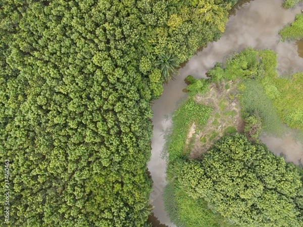 Fototapeta top view river with trees landscape.